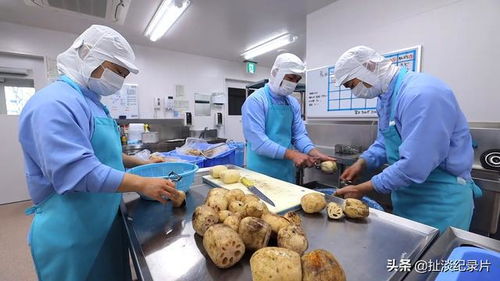 從“食育”到品質 探秘日本中小學的營養午餐之旅